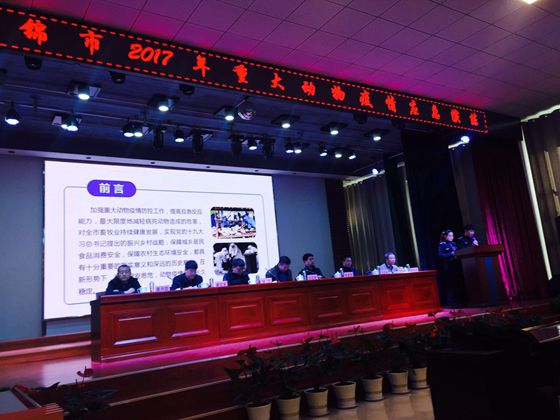 �̽���2017���ش�������Ӧ...